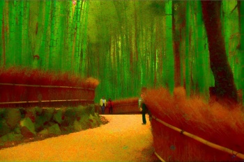 01 Bamboo Forest.jpg